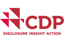 CDP DISCLOSURE INSIGHT ACTION