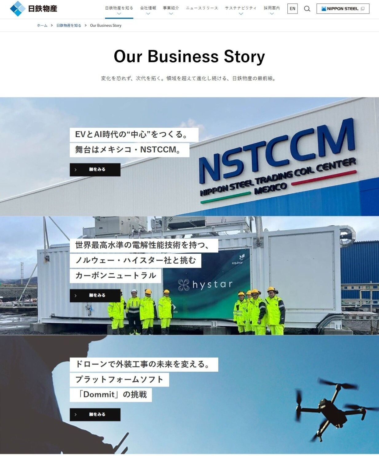 Our Business Story.jpeg